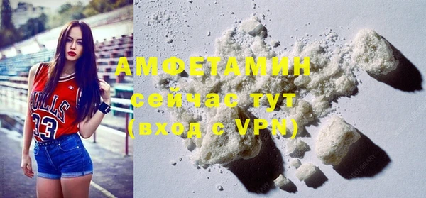 хмурый Алзамай
