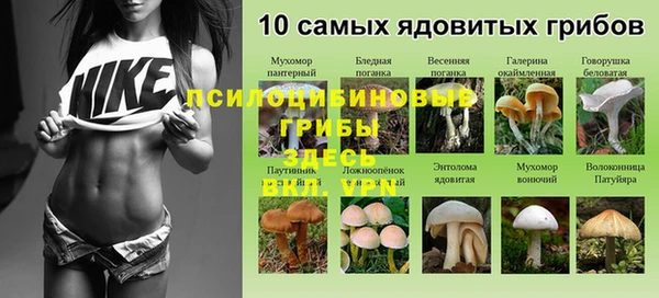 круглые Алексин