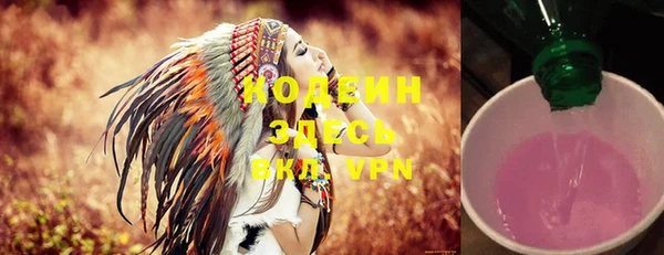 хмурый Алзамай