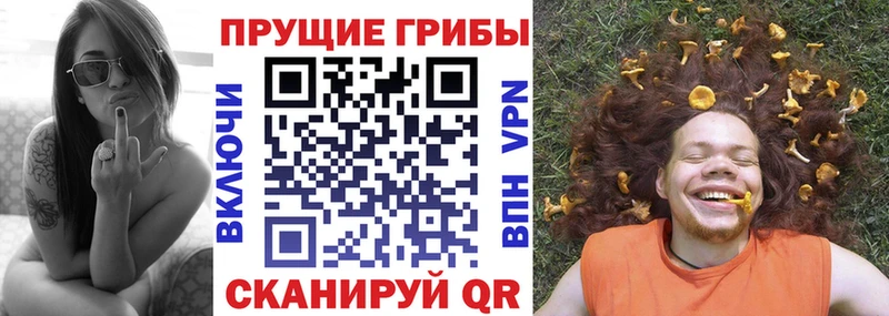 Галлюциногенные грибы Psilocybine cubensis закладка Мещовск